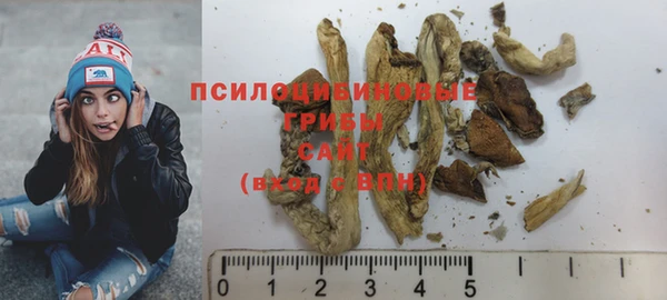 спиды Касимов