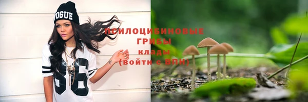 марки nbome Карпинск