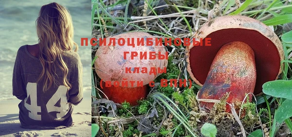 прущий лед Карталы