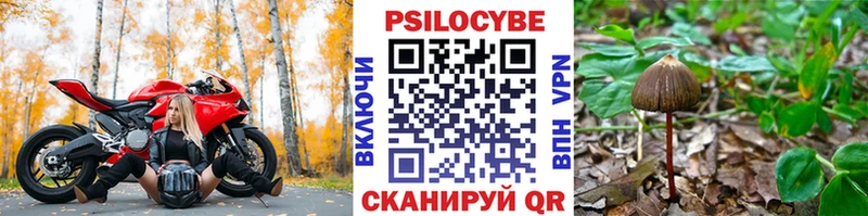 Купить закладки  Горнозаводск  Галлюциногенные грибы MAGIC MUSHROOMS 